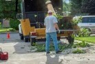 Linden NSWtree-felling-services-11.jpg; ?>