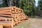 Linden NSWtree-felling-services-31.jpg; ?>